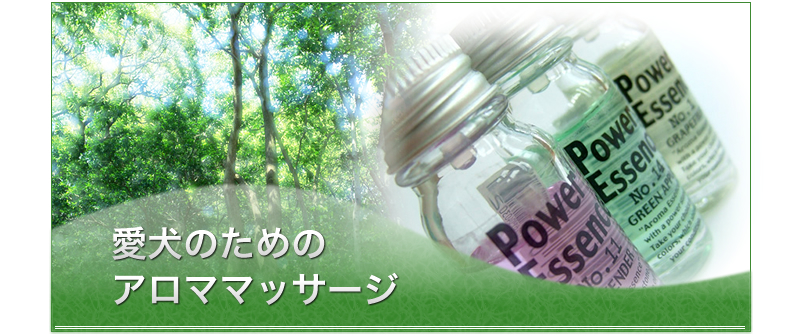 �����̂��߂̃A���}�}�b�T�[�W