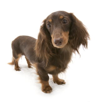 �`���R���^�� �J�j���w���_�b�N�X