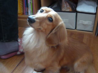 �~�j�`�����_�b�N�X�t���h