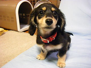 �~�j�`�����_�b�N�X�t���h