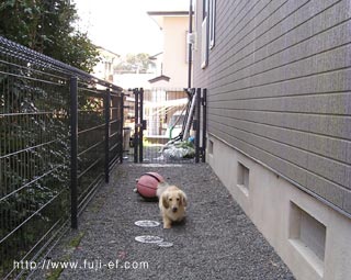 �J�j���w���_�b�N�X�A�~�j�`���A�_�b�N�X�̉^��