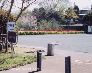 �J�j���w���_�b�N�X�A�~�j�`���A�_�b�N�X�̎U��