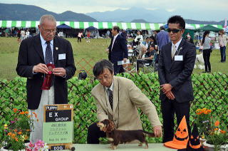 �`�����s�I�����q �J�j���w���_�b�N�X ����