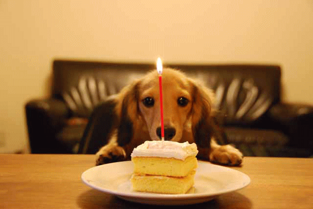 �~�j�`�����_�b�N�X�t���h