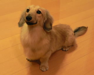 �~�j�`�����_�b�N�X�t���h