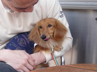 �~�j�`�����_�b�N�X�t���h